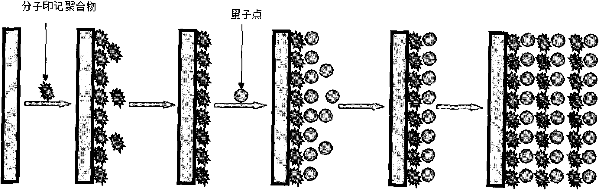 Molecular imprinting chemiluminescence sensor for detecting trace amount pesticide residue and application thereof