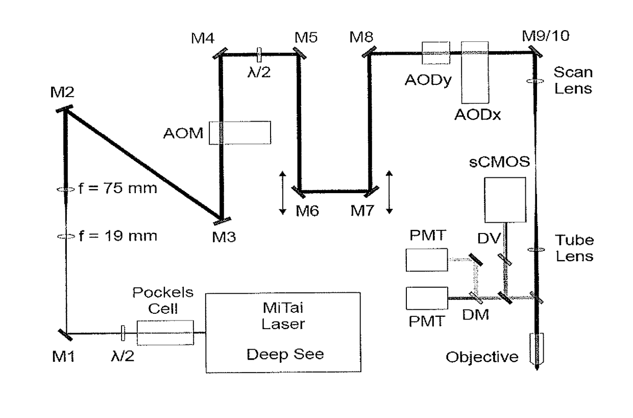 Improvements in or relating to structured illumination microscopy utilising acousto-optic deflectors