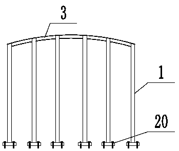 A grape trellis with rainproof function