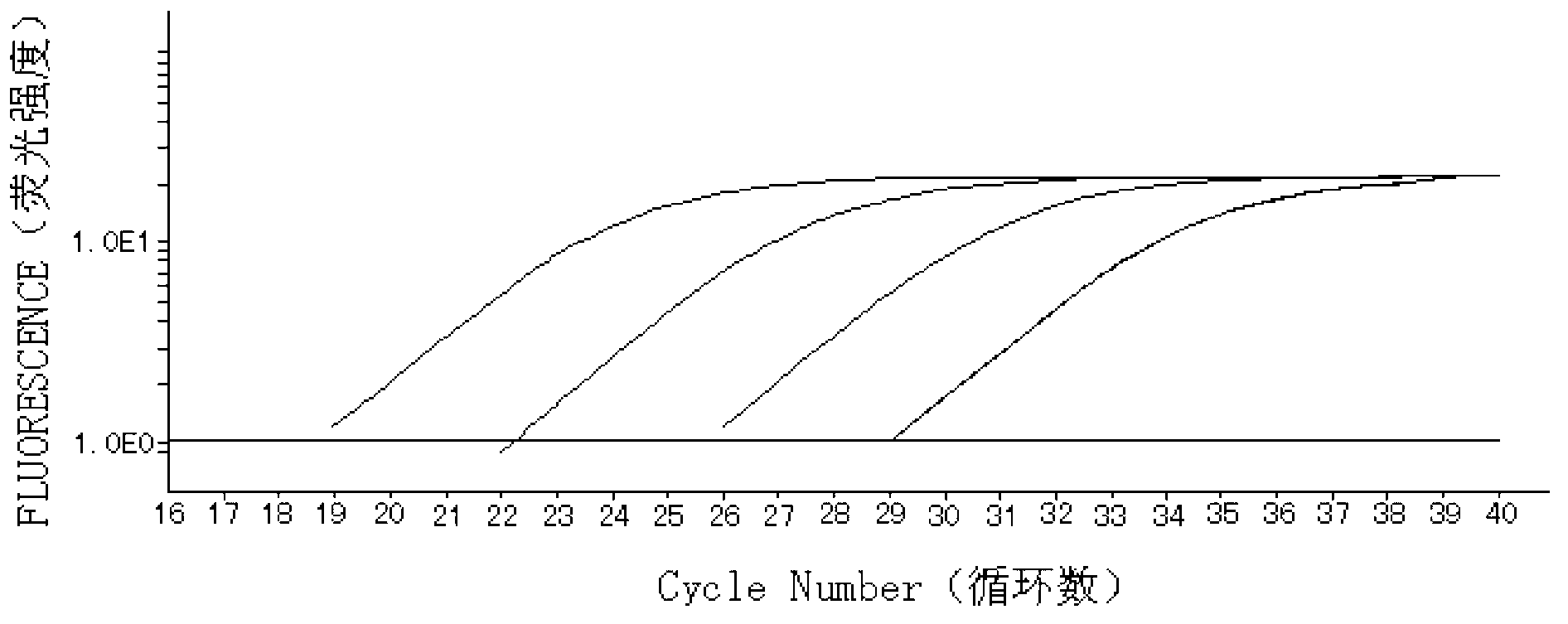 Kit capable of detecting expression quantity of BAALC (brain and acute leukemia cytoplasmic) gene mRNA (Messenger Ribose Nucleic Acid)