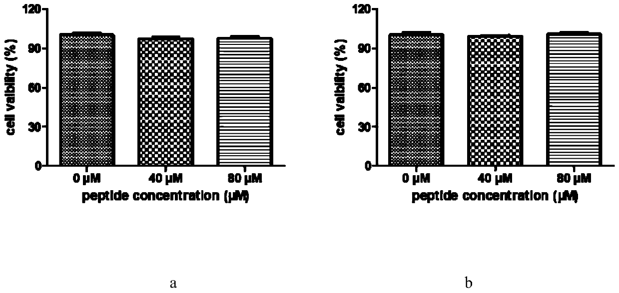 Black sea bream antibacterial peptide AS-hepc3 (48-56) and application thereof