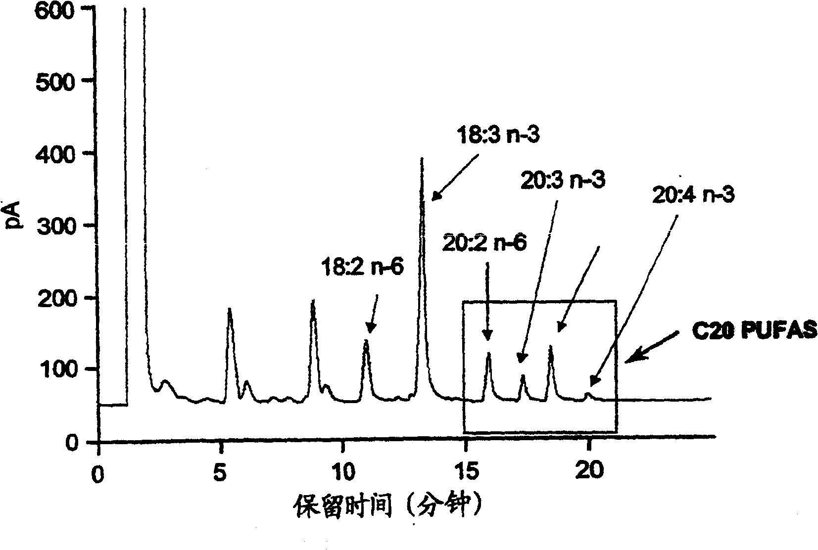 Method for the production of polyunsaturated fatty acids