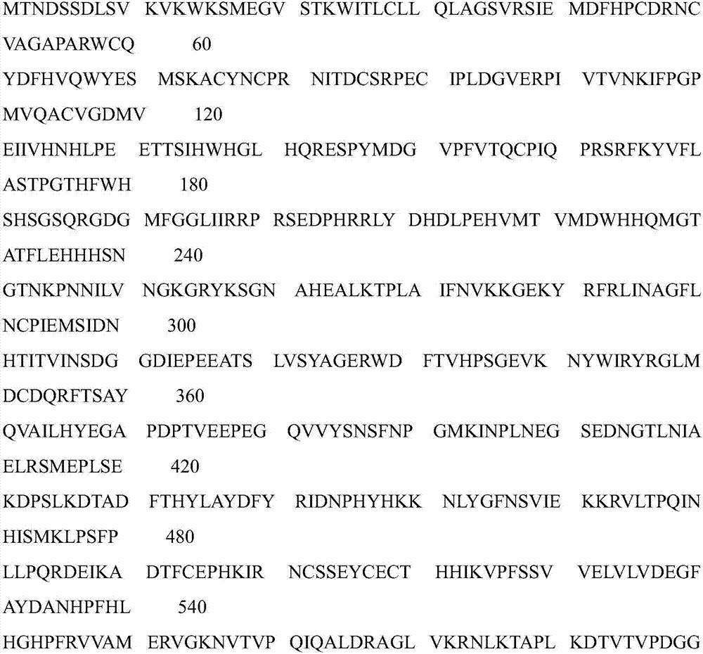 Bemisia tabaci MED (Mediterranean) cryptic species laccase LAC1 (laccase 1) and gene and application thereof