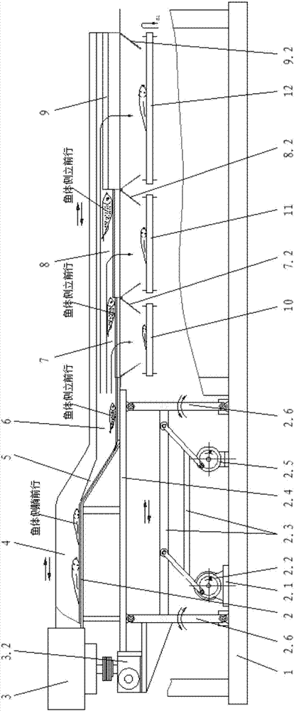 Vibration classifier for processing larimichthys crocea and classifying method of vibration classifier