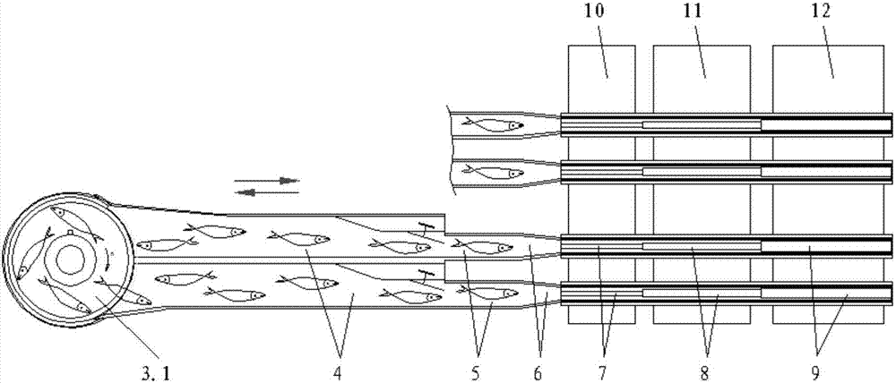 Vibration classifier for processing larimichthys crocea and classifying method of vibration classifier