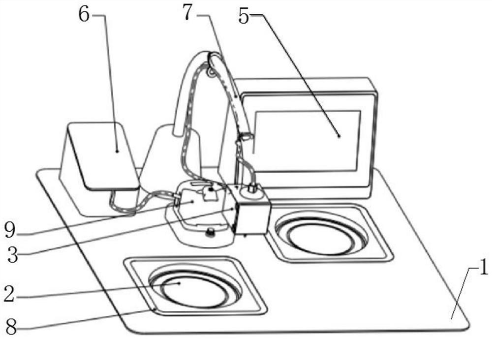 Ovarian tissue slice freezing operation system