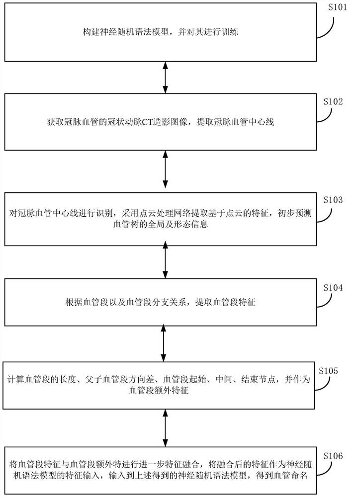 Automatic naming method and device for cardiac coronary vessels