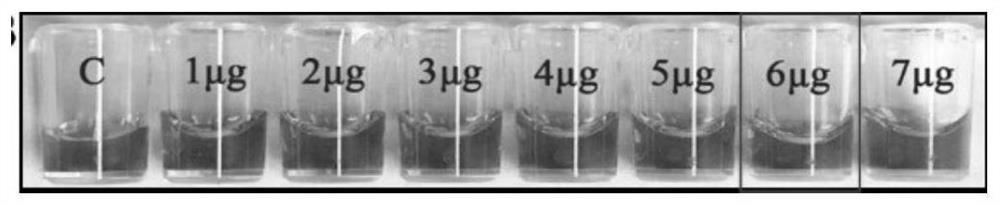 Electrochemical immunosensor for detecting CP4-EPSPS protein in crops