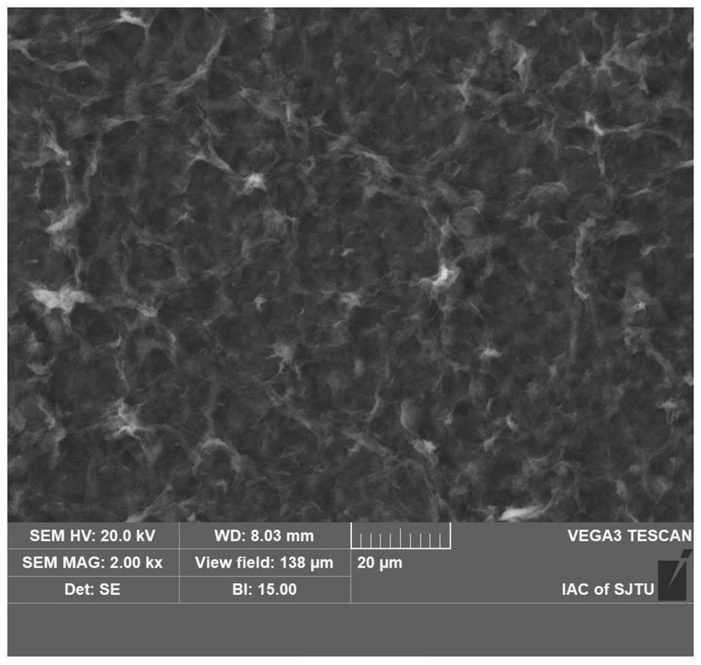 Electrochemical immunosensor for detecting CP4-EPSPS protein in crops