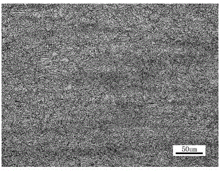 A niobium-molybdenum composite microalloyed high-strength bainite steel and its preparation method