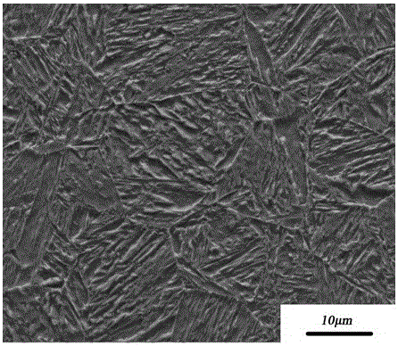 A niobium-molybdenum composite microalloyed high-strength bainite steel and its preparation method