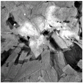 A niobium-molybdenum composite microalloyed high-strength bainite steel and its preparation method