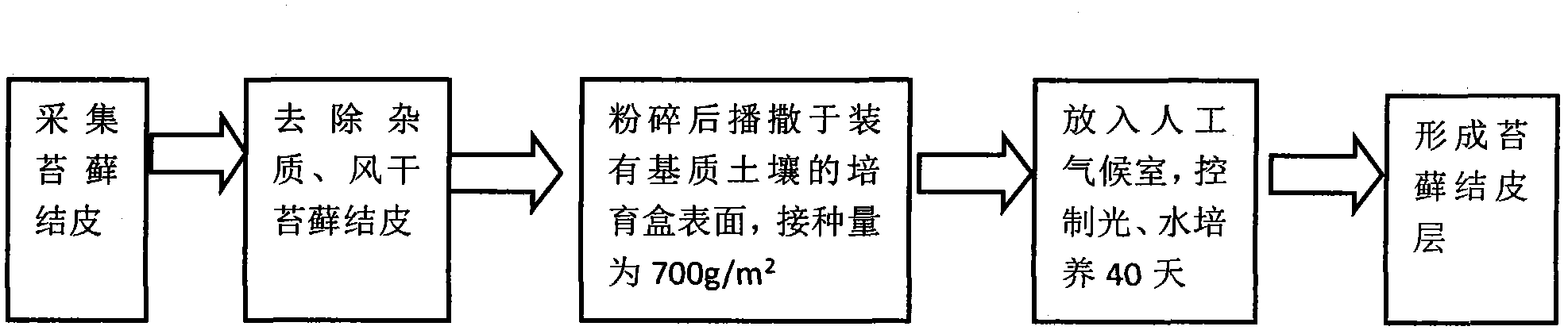 Rapid cultivation method for loess plateau moss crusts