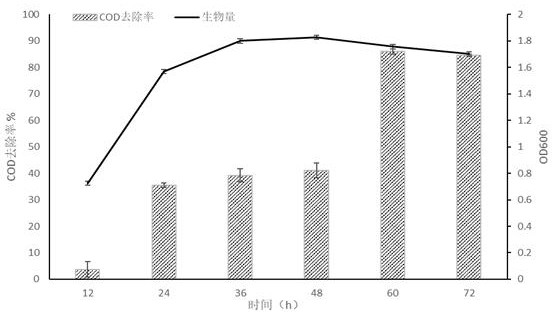 Meyerozyma guilliermondii and method for treating high-salinity wastewater