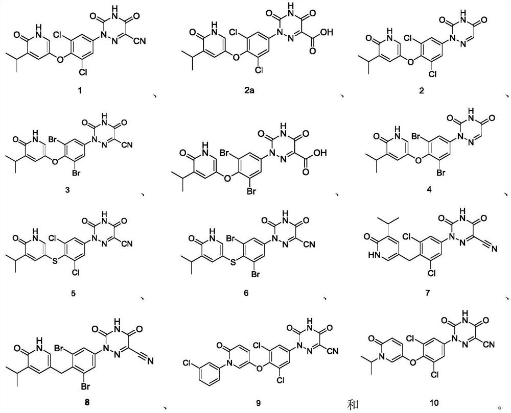 6-oxo-1, 6-dihydropyridine derivative, preparation method thereof and application of 6-oxo-1, 6-dihydropyridine derivative in medicine