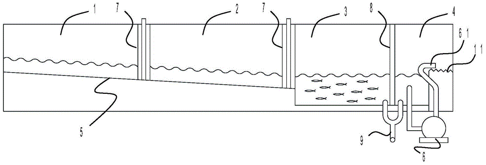 Artificial ecological circulating pool for giant salamanders