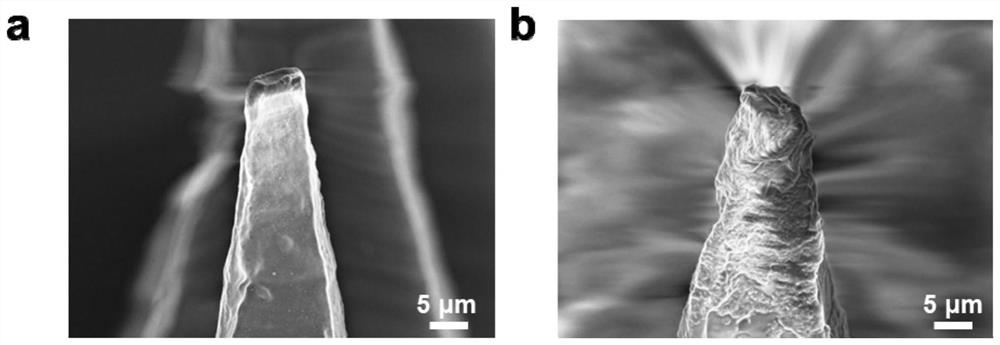 Microneedle patch for enhancing accumulation of protoporphyrin IX in solid tumor and preparation method of microneedle patch