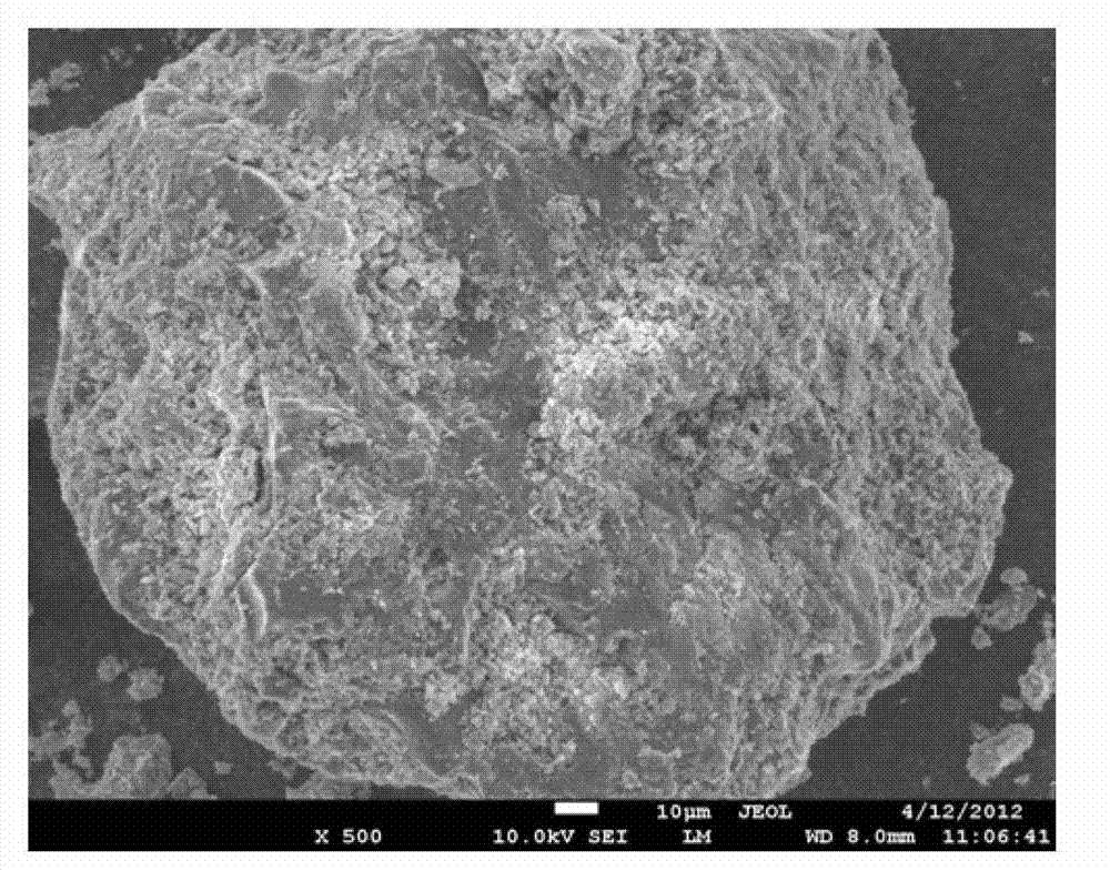 Functional microbe embedded slow-release composite filling material and preparation method thereof