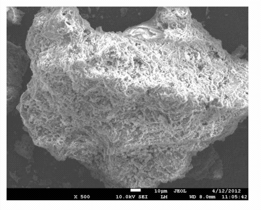 Functional microbe embedded slow-release composite filling material and preparation method thereof