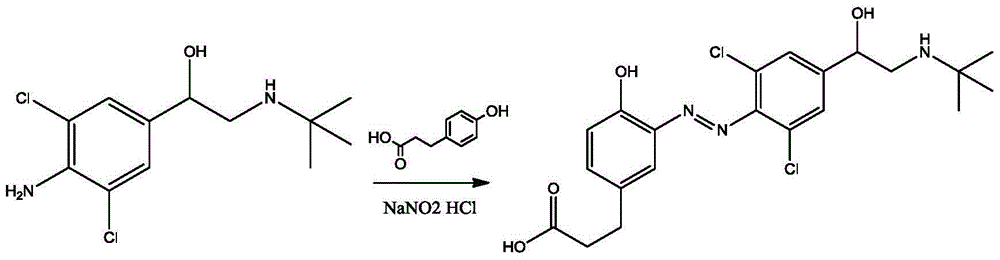 A clenbuterol immunomagnetic bead separation and enrichment kit and its application