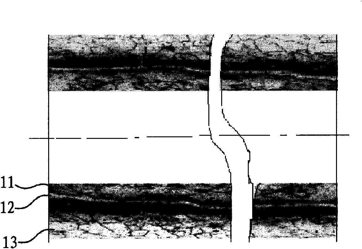 Compound centrifugal manufacturing method for sink roller or stabilizing roller