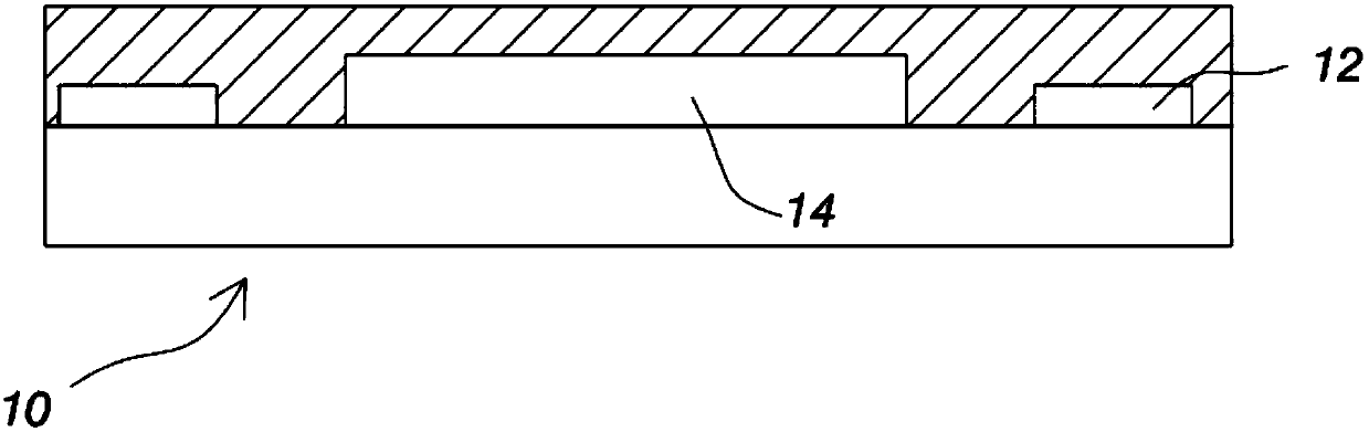 Optical fingerprint sensing device with biomedical sensing function