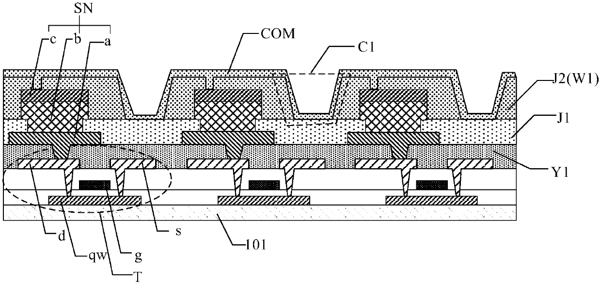 Light sensation module and display panel