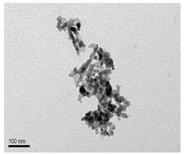 Method for evaluating biosecurity of 35 nm nano silver on the basis of intestinal epithelial cells