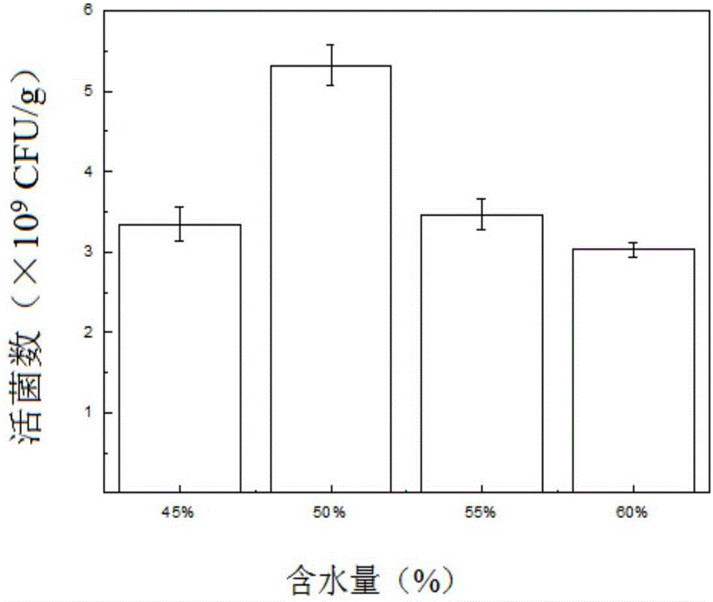 A kind of solid-state mixed bacteria fermentation of whole oats to produce probiotic live bacteria powder and its preparation method