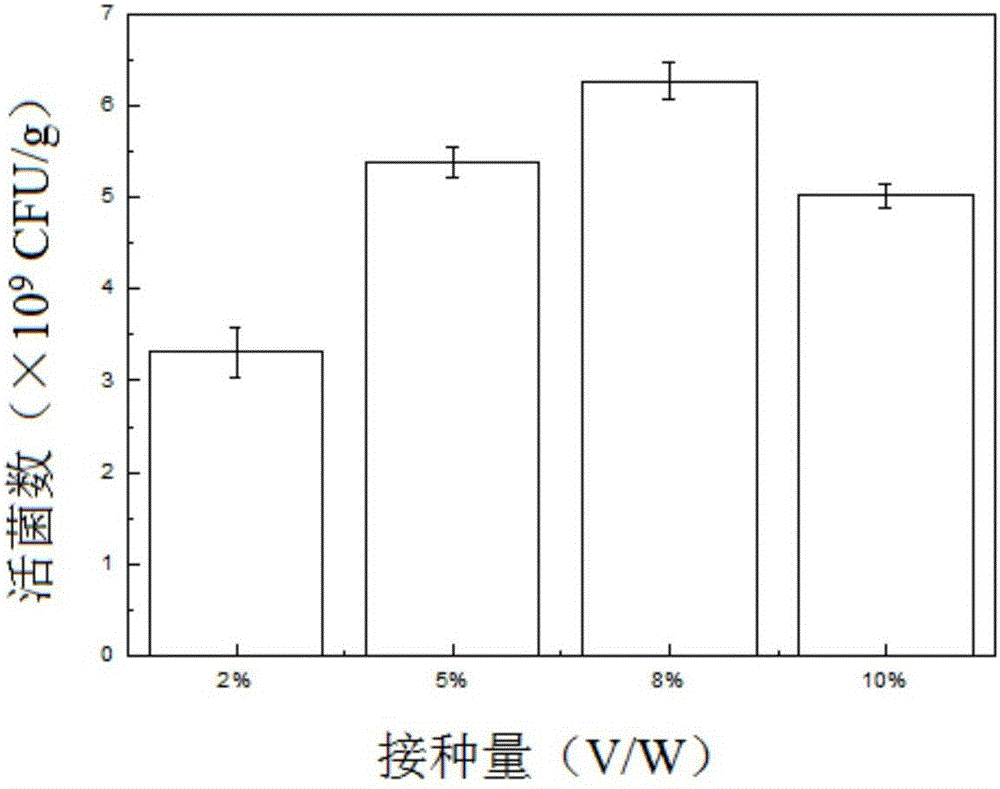 A kind of solid-state mixed bacteria fermentation of whole oats to produce probiotic live bacteria powder and its preparation method