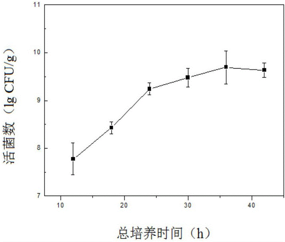 A kind of solid-state mixed bacteria fermentation of whole oats to produce probiotic live bacteria powder and its preparation method