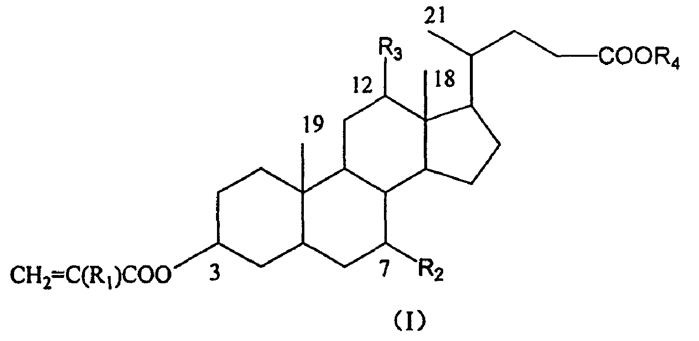 Crosslinking monomer containing bile acid and preparation process and use thereof