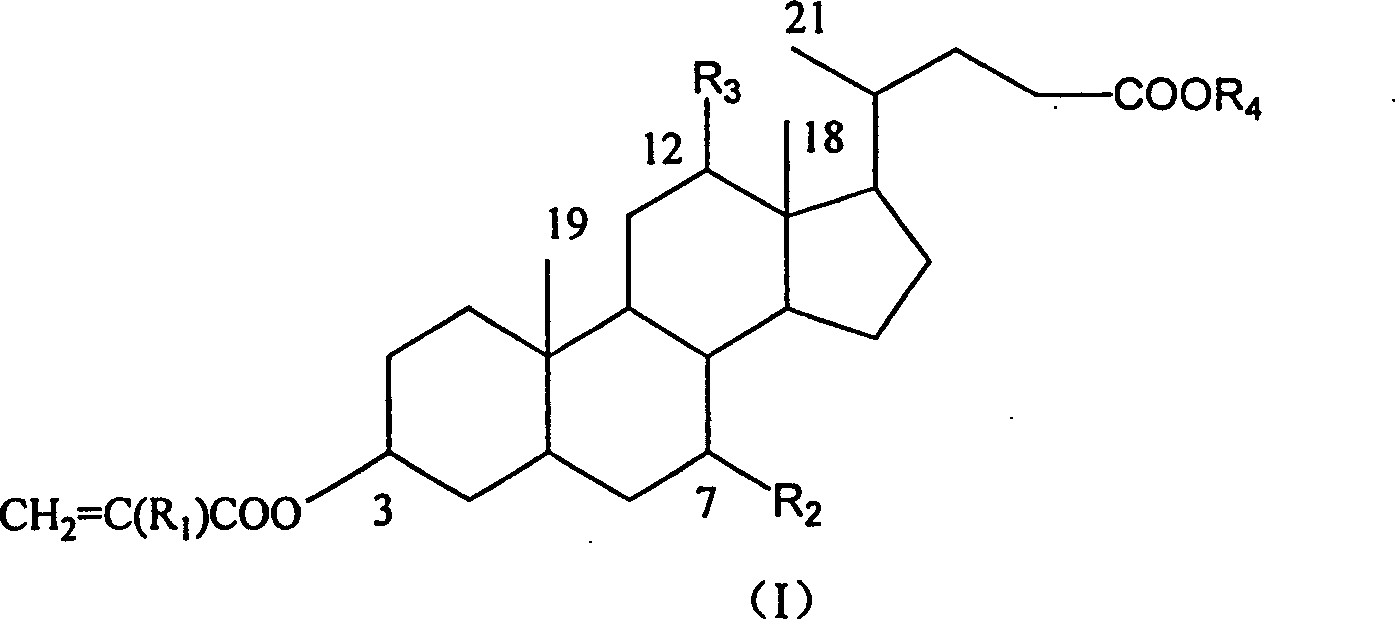 Crosslinking monomer containing bile acid and preparation process and use thereof