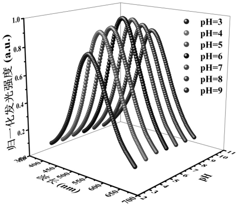 Luminous silver nanocluster and preparation method and application thereof