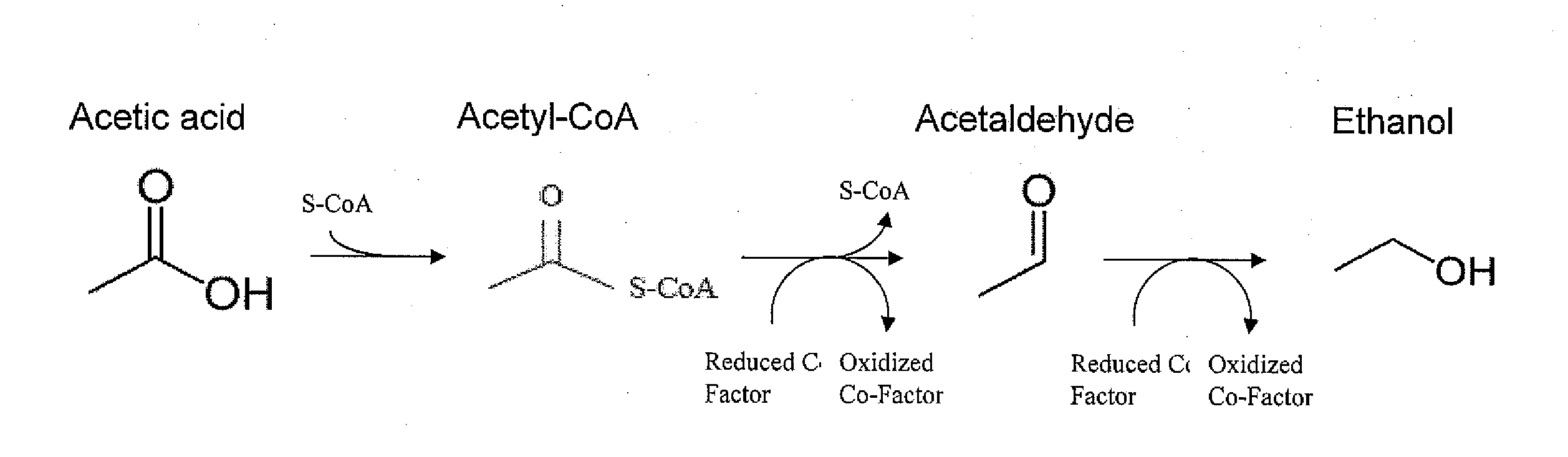 Methods and Apparatuses for Producing Renewable Materials From Inhibiting Compounds