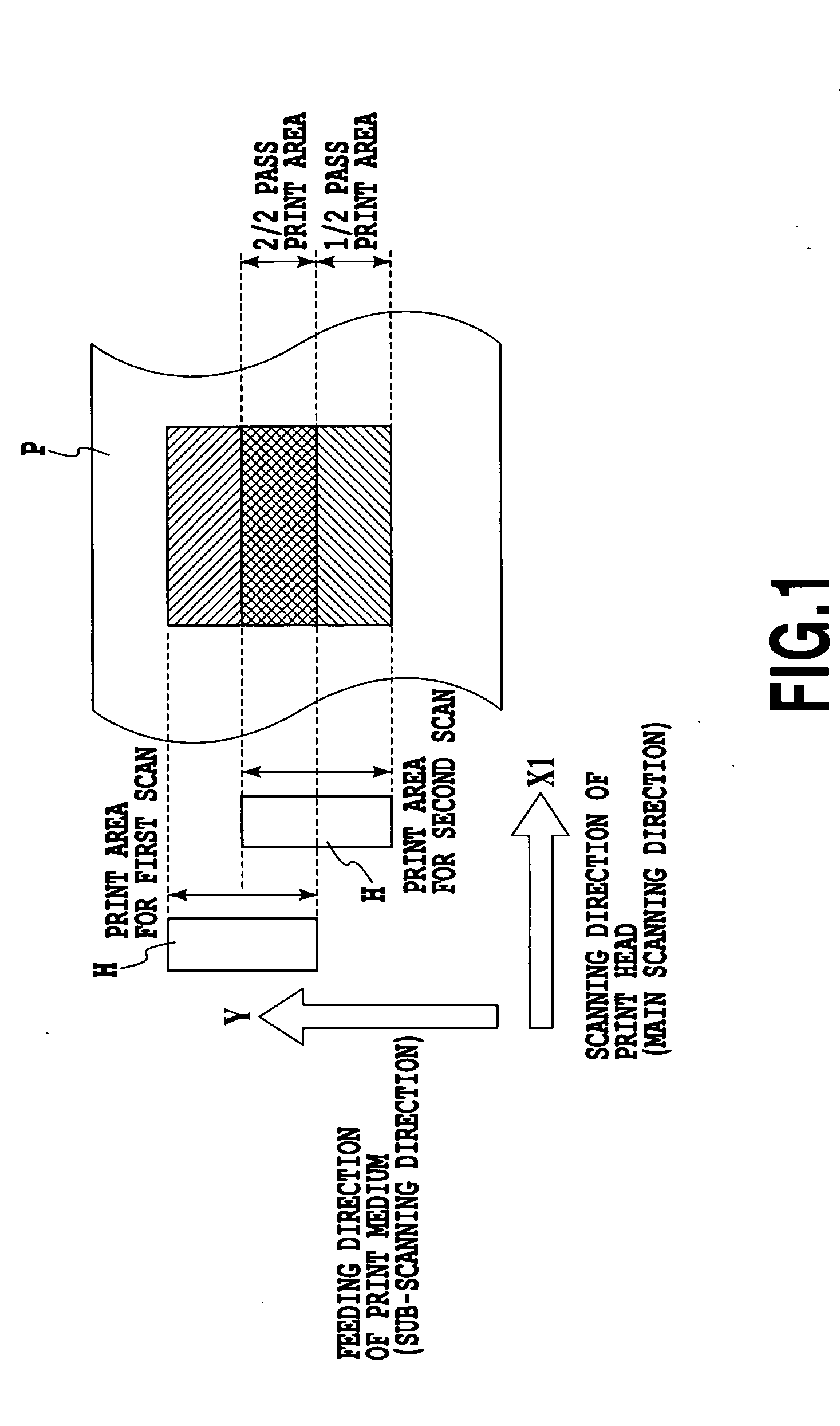 Ink jet printing apparatus and ink jet printing method