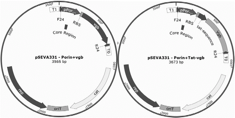 Method of improving fermentation cell density using hemoglobin