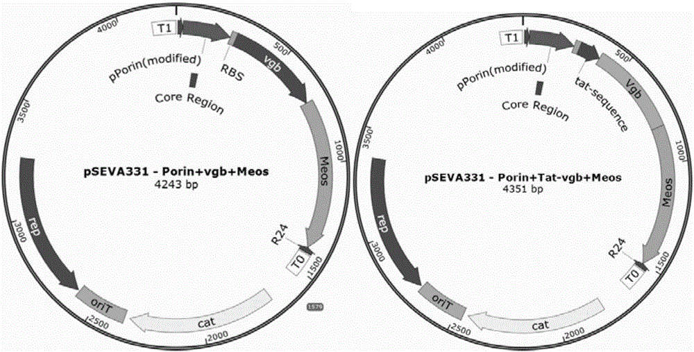 Method of improving fermentation cell density using hemoglobin