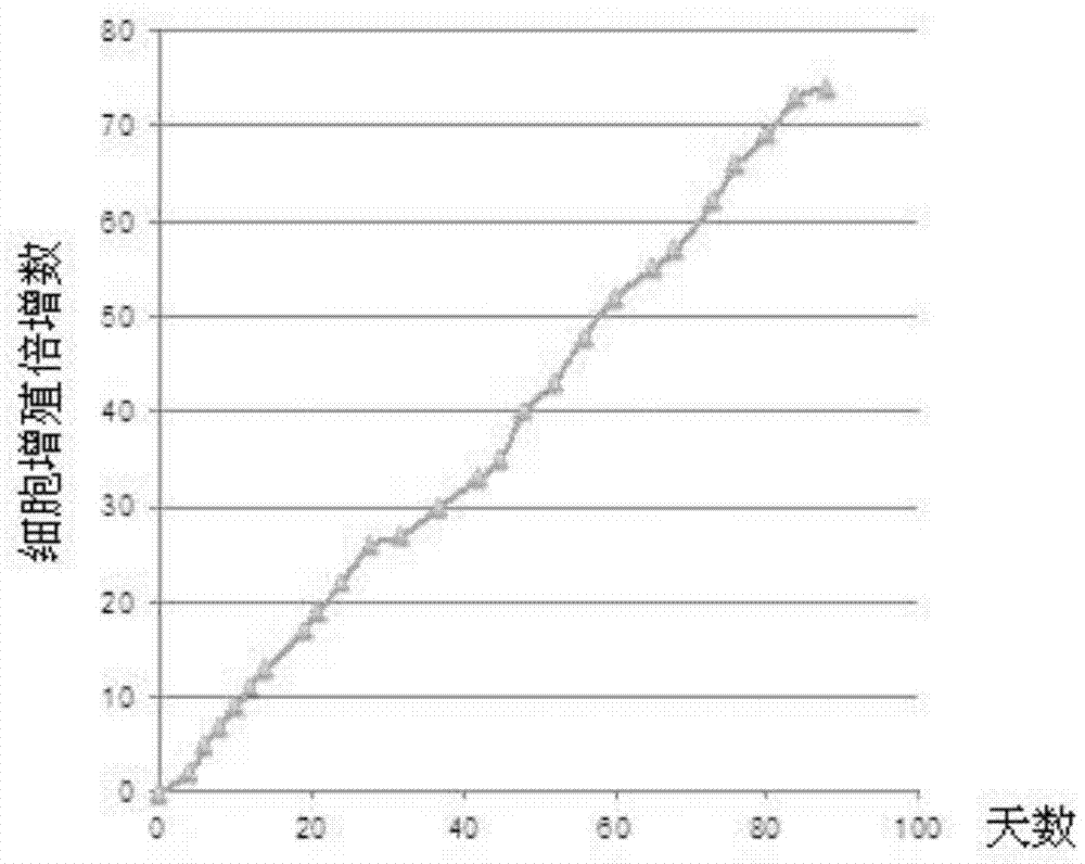 Human prostate cancer cell as well as passage separation culture and subculturing culture method and application thereof