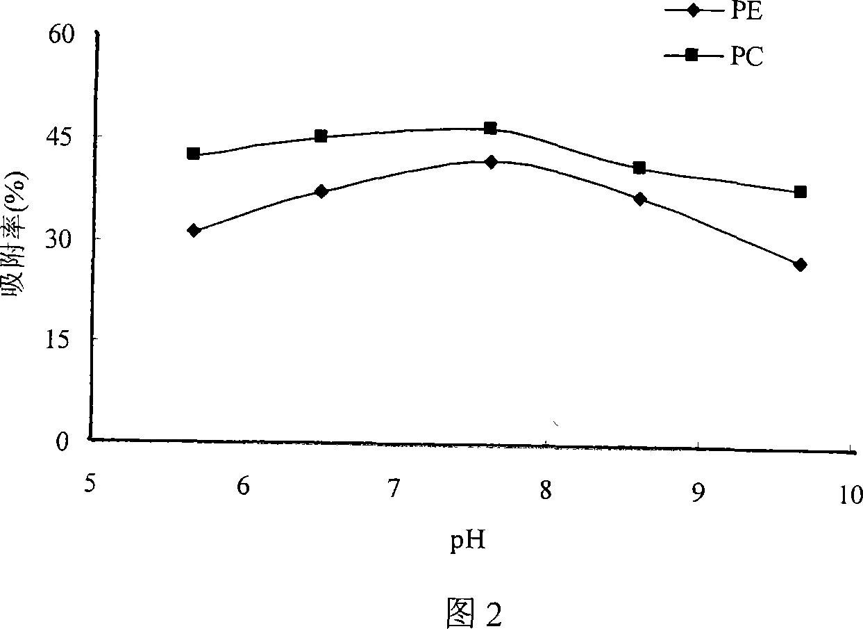 Method of separating and purifying phosphatidyl choline from phospholipid by resin chromatography method