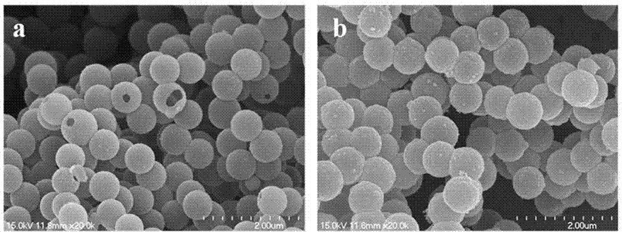 Preparation with contrast-enhanced ultrasound and photothermal therapy properties, preparation method and application thereof