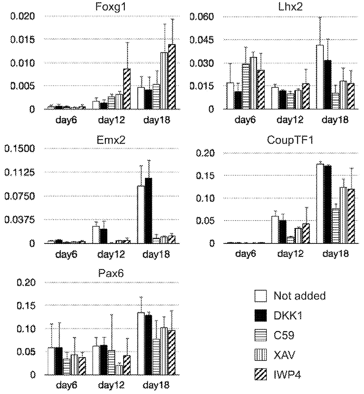 Method for inducing cerebral cortex neurons