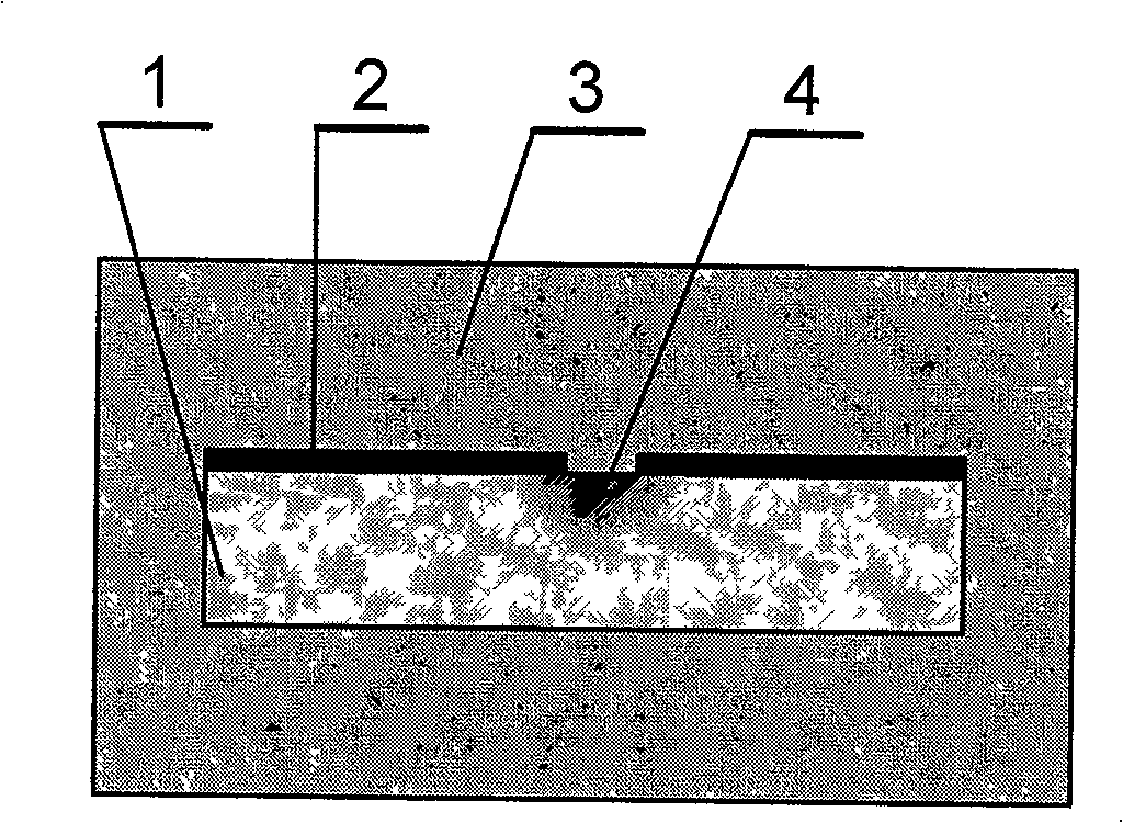 Method for preparing glass waveguide by single-side molten salt electric field assistant ion exchange