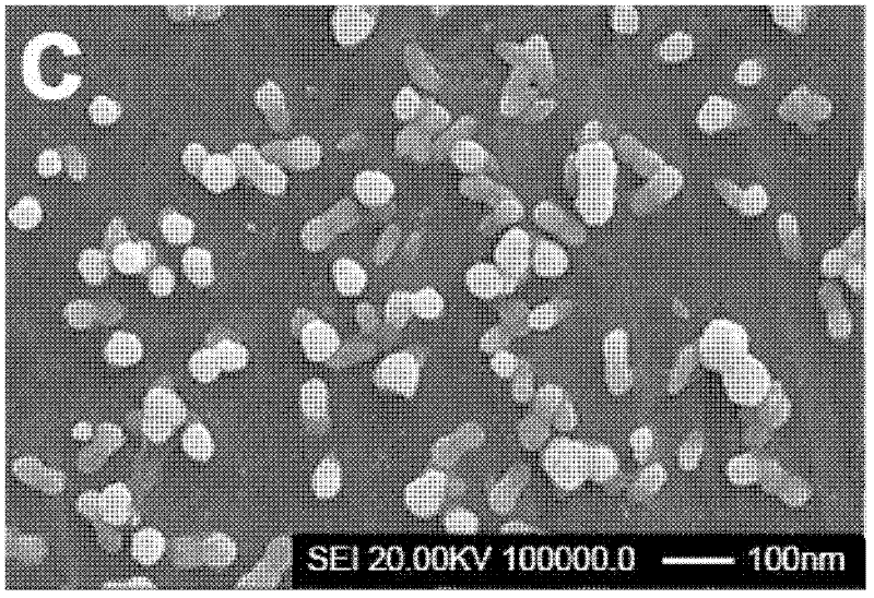 Method for preparing cadmium hydroxide nanowires