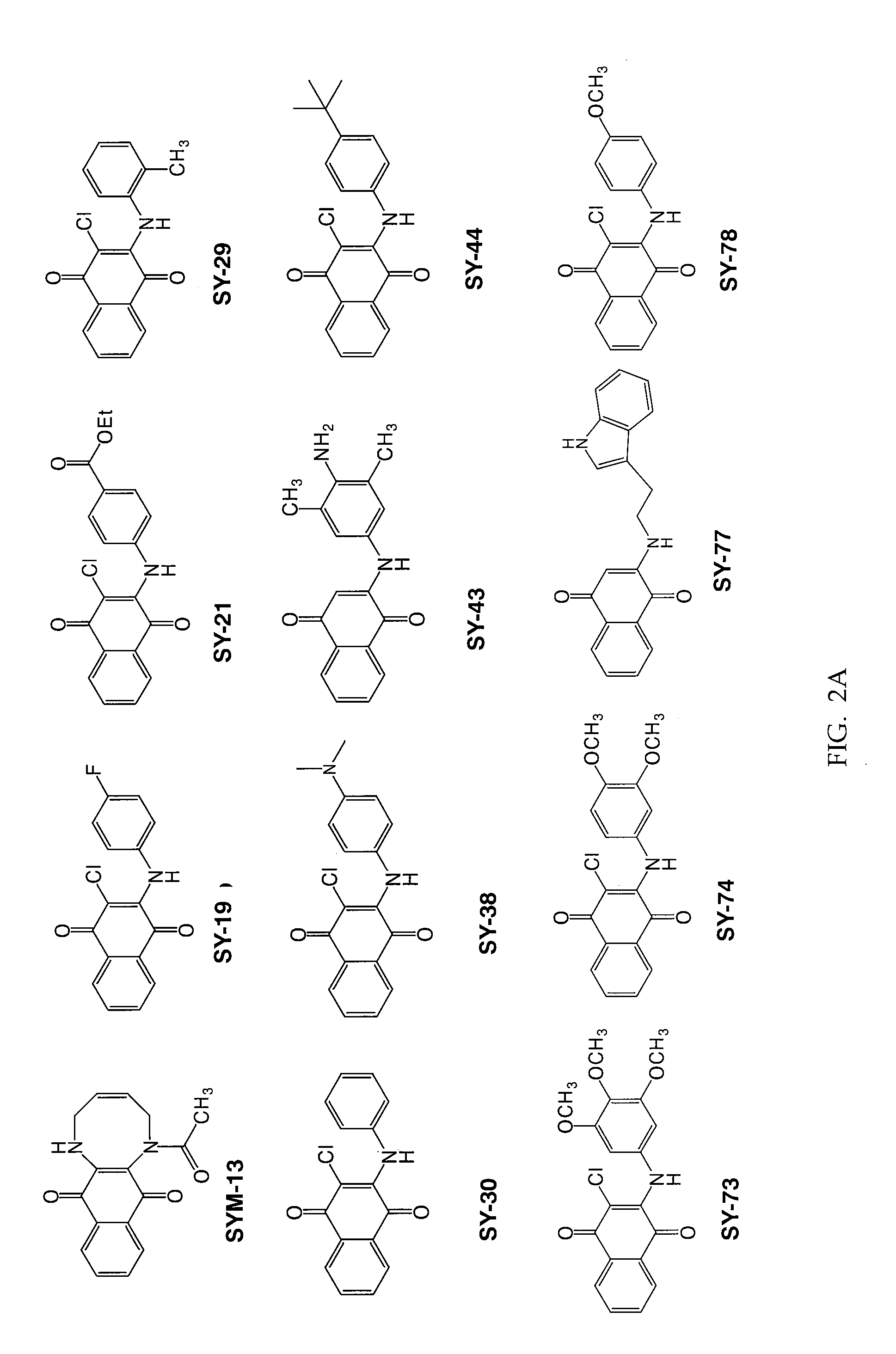 Naphthoquinone derivatives useful for prevention of amyloid deposits and treatment of diseases involving amyloidogenesis