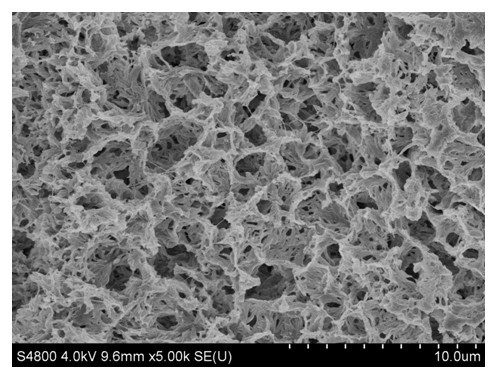 Method for in-situ polymerization and modification of polyvinylidene fluoride microporous membrane