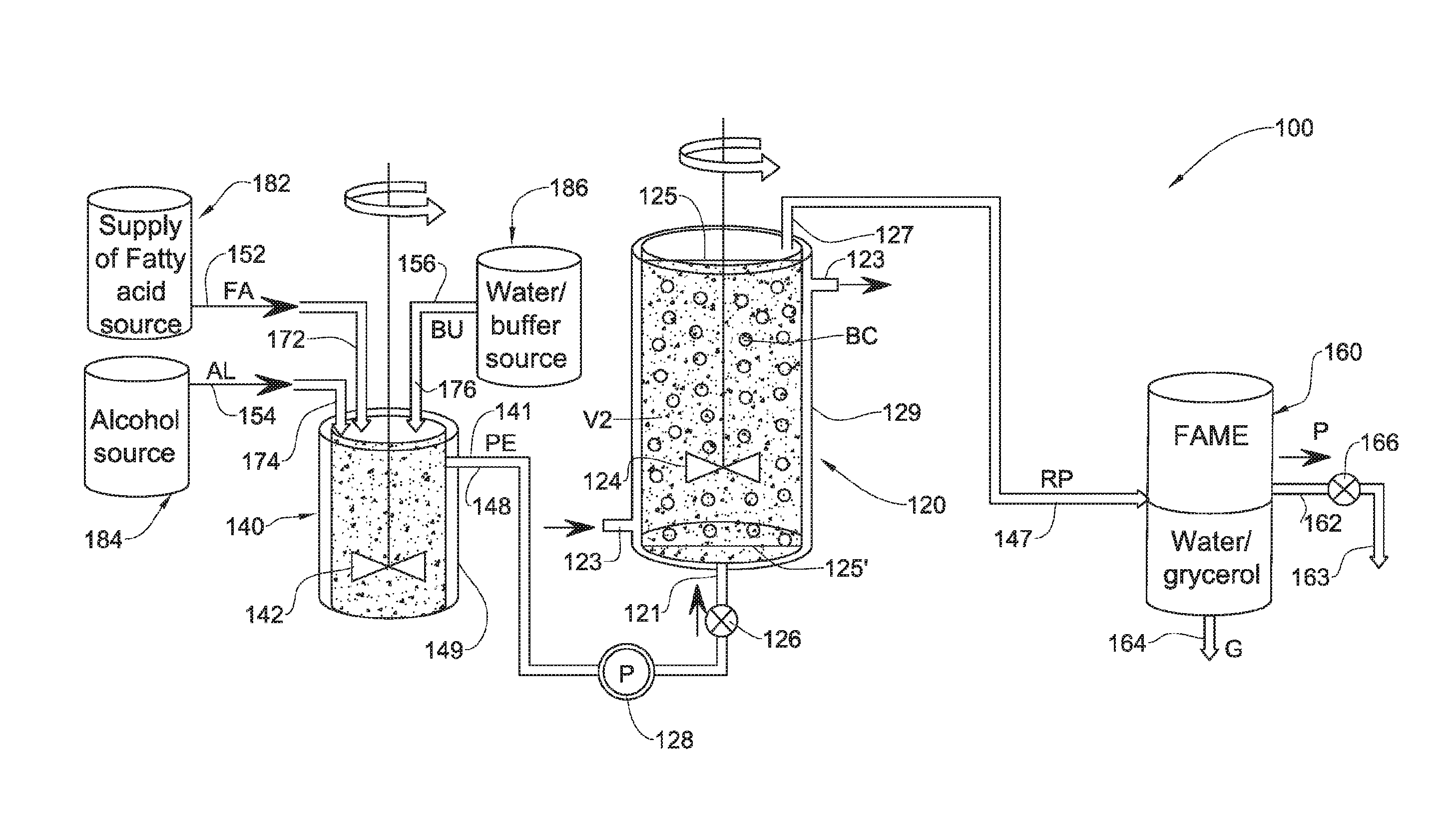 Enzymatic transesterification/esterification processing systems and processes employing lipases immobilzed on hydrophobic resins