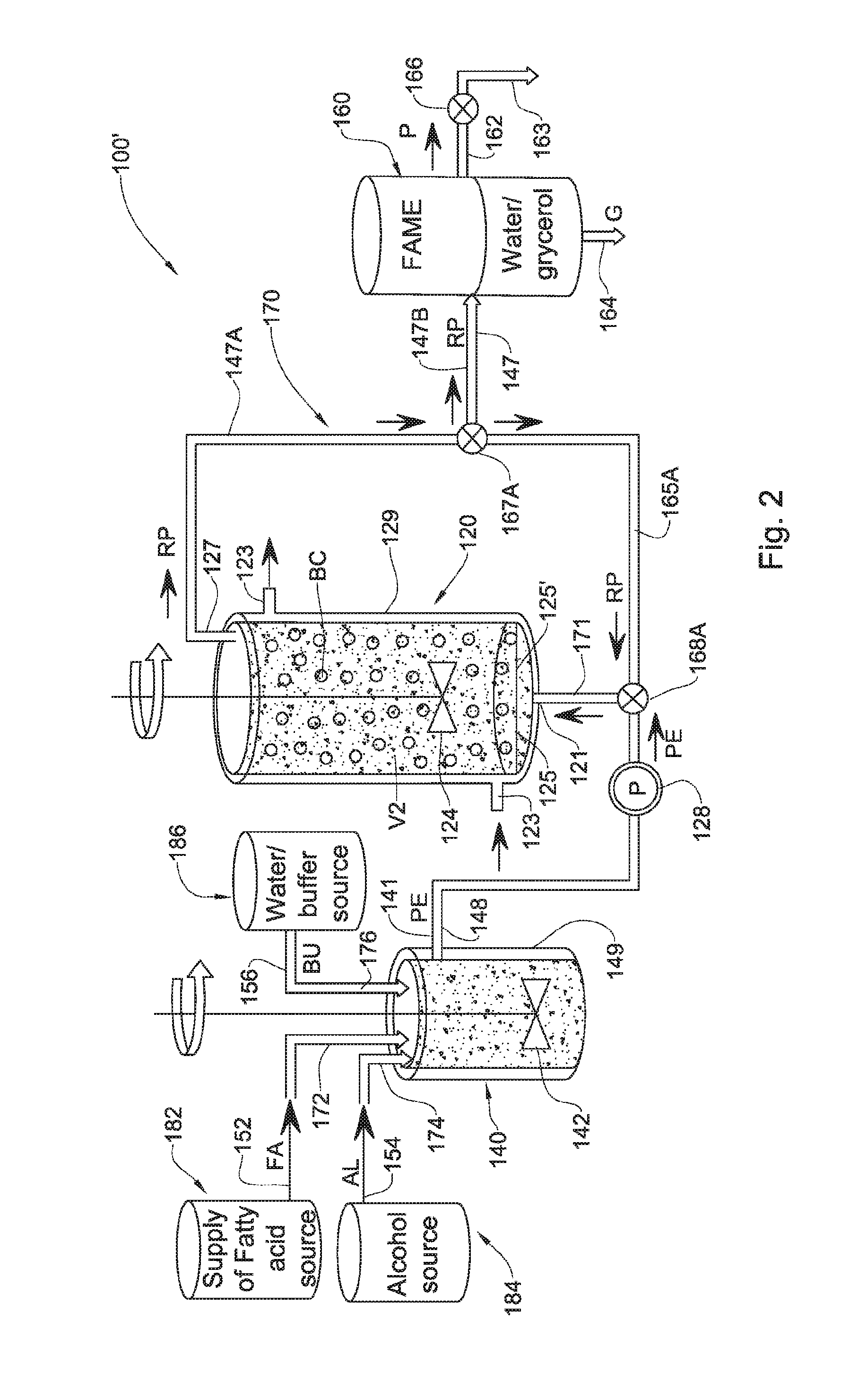 Enzymatic transesterification/esterification processing systems and processes employing lipases immobilzed on hydrophobic resins