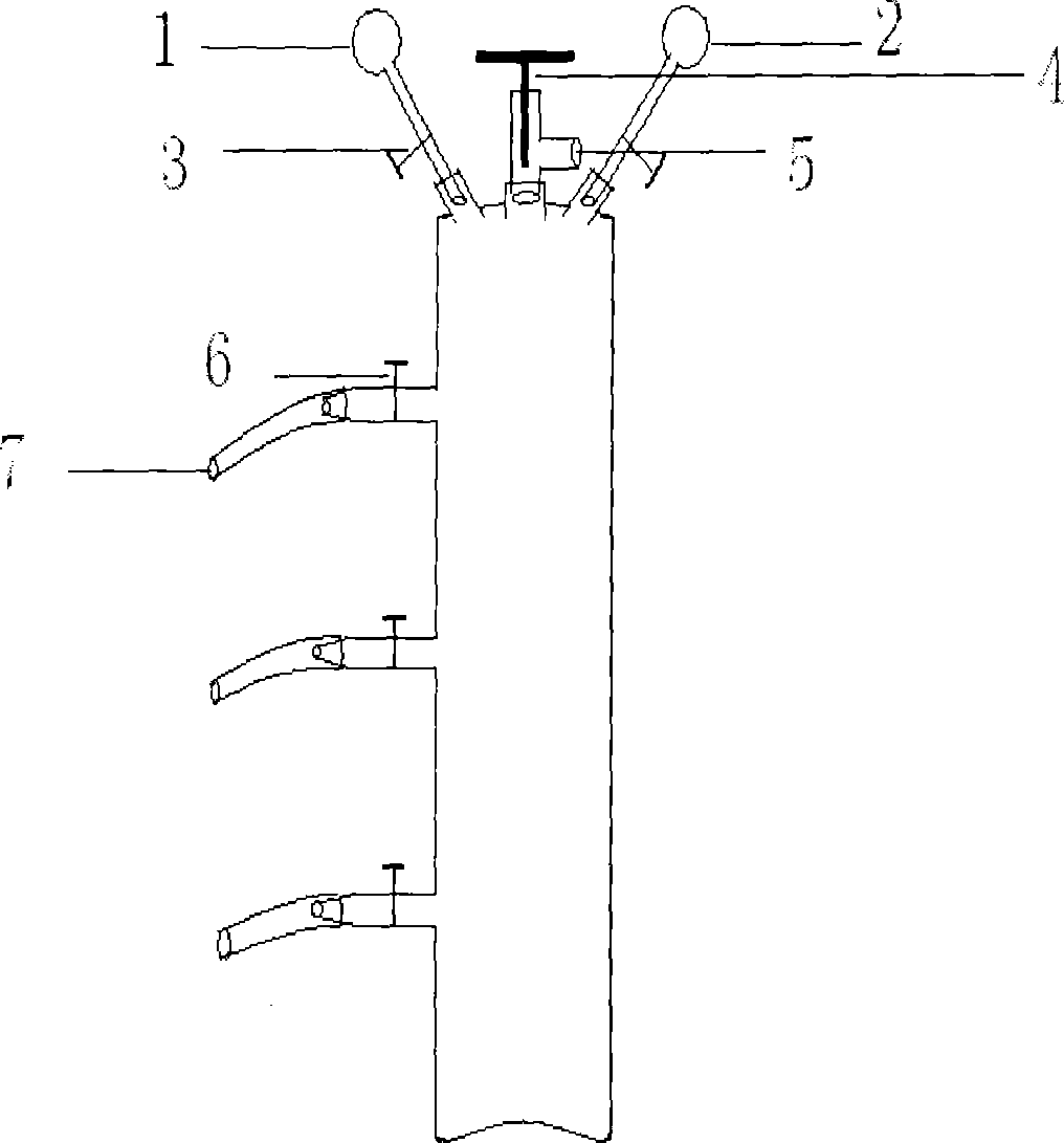 Compound apparatus for fumigant