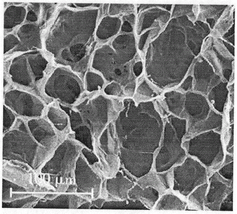 Bacteriostatic hydrogel dressing for wound repair and preparation method thereof